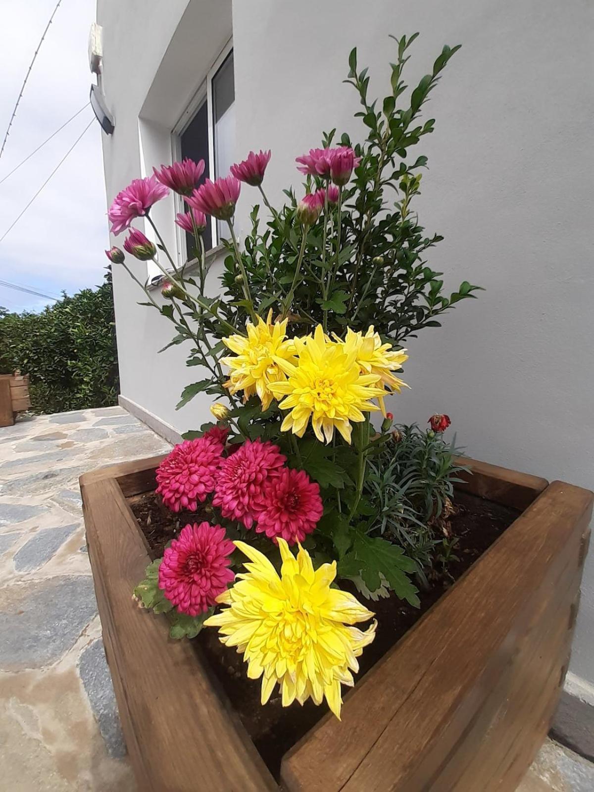 Finca De Luna La Orotava Εξωτερικό φωτογραφία