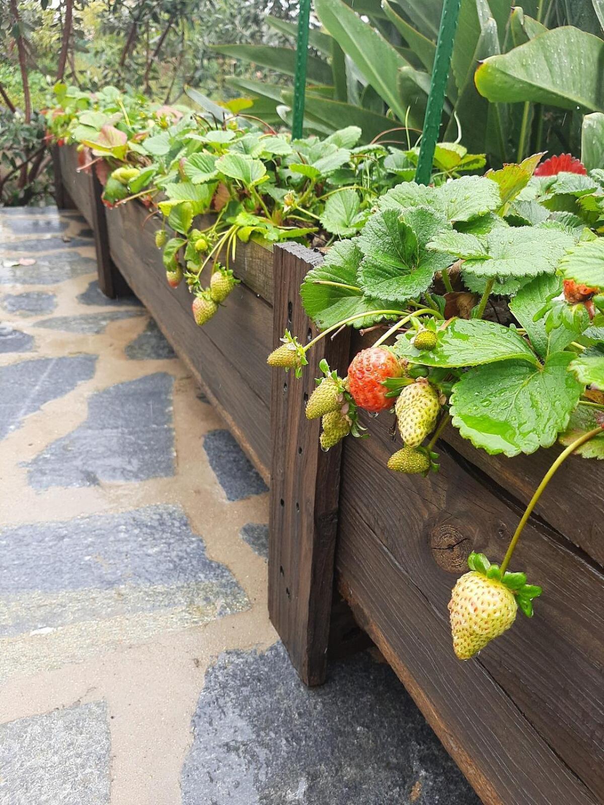 Finca De Luna La Orotava Εξωτερικό φωτογραφία